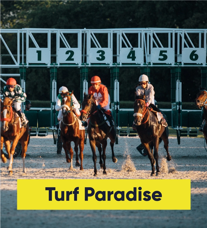 Turf Paradise